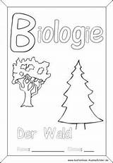 Deckblatt Biologie sketch template