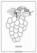 Grapes Printables Grape sketch template