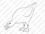 Goose Coloring Embroidery Pages Digital Color sketch template