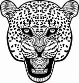 Jaguar Drawing Background Head Tribal Monochrome Painted Drawn Ink Hand Vector Line Print Coloring Pattern Adults Book Getdrawings Pic Animal sketch template