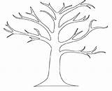 Tree Coloring Branch Pages Leaves Outline Print Trees Printable Kids sketch template