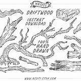 Driftwood Wood Clipart Clip Drawing Branches Drift Branch Tree Vector Drawn Hand Stamps Stickers Trees Kit Logo Etsy Similar 65kb sketch template