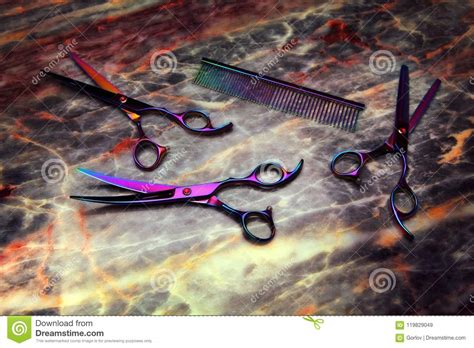 hairstyle tools scissors studio quality stock image image  haircut