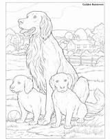 Retrievers Hunde Hund Tierheim Tiere Süße Zeichnungen Doverpublications Paint Dover Publications sketch template