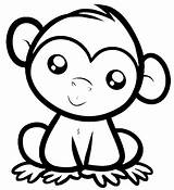 Monos Mono Macaco Facil Calcar Monito Asombroso Macaquinho Lindo Seonegativo sketch template