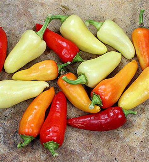 santa fe grande chili peppers recipe