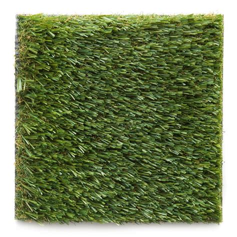 tfd  fescue  turf factory direct