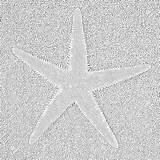 Coloring Starfish Pages Sea Stars Filminspector sketch template