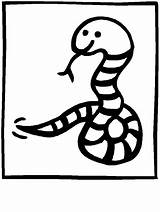 Serpenti Disegni Serpente Colorat Serpi Serpents Animale Schlangen Serpientes Coloring Planse Snakes Colorare Cobras Bambini Gifgratis Coloratutto Desene Prend sketch template