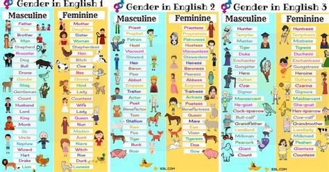 Gender Of Nouns Useful Masculine And Feminine List • 7esl