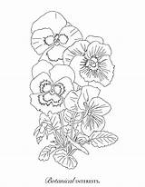 Behance Botanical Interests sketch template