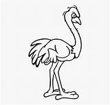 Ostrich Cliparts Filosofia Animais sketch template