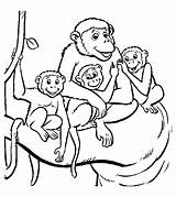 Singe Singes Coloriages Monkeys Colorier Enfants Gorille Complet Momjunction Ko Kaynağı Makalenin sketch template
