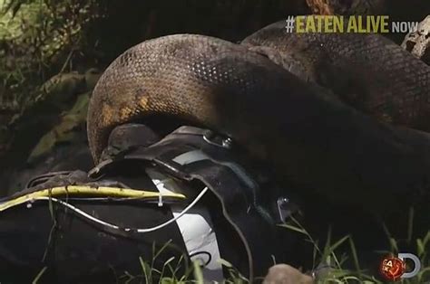 man    eaten alive   anaconda  people  totally