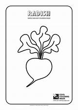 Coloring Pages Simple Radish Easy Cool Print sketch template