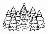 Weihnachtsbaum Ausmalbilder Natale Colorare Alberi Disegni sketch template