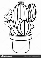 Kaktus Vaso Outline Ausmalen Cacti Colorir Cacto Cactos Flores Kakteen Ausmalbilder Haft Linear Spikes Blooming Lineare Anlage Blumentopf sketch template