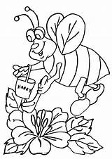 Honey Pot Coloring Pages Print Template sketch template