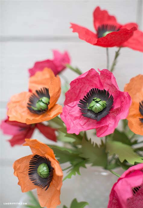 tissue paper poppies lia griffith