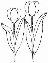 Tulipe Coloriage Colorat Lalele Flori Planse Tulipes Coloriages Tecido Tulipanes P06 Riscos Desene Dibujo Tulip Enfant Moldes Primiiani Plantes Ligne sketch template