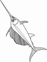 Zwaardvis Swordfish Schwertfisch Kleurplaten Strong Visit Stemmen sketch template