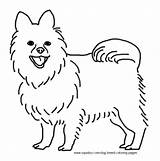 Pomeranian Coloring Pages Dog Breed Puppy Printable Book Kids Sheets Puppies Christmas Print Xyz Template sketch template
