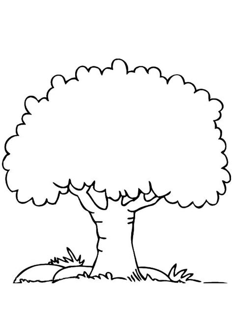 easy tree coloring page  svg file  cricut