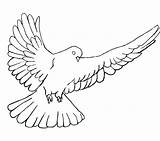 Dove Coloring Peace Pages Drawing Flight Getcolorings Getdrawings Printable sketch template