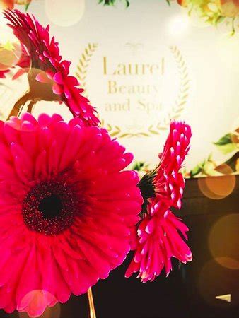 laurel beauty  spa melbourne