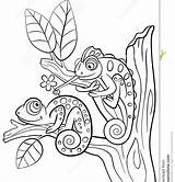 Chameleon Coloring Pages Print Printable Colouring Getcolorings Jacksons Color sketch template