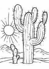 Cactus Coloring Pages Desert Drawing Kids Choose Board Sheets sketch template