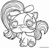 Coloring Pages Lps Pet Shop Printable Littlest Cat Cuties Getcolorings Panda Little Print Online Color Library Popular Colouring sketch template