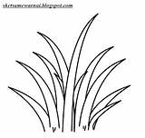 Mewarnai Tanaman Sketsa Rumput Tumbuhan Putih Sayuran Mysha sketch template