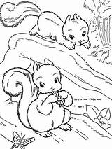 Coloring Pages Squirrel Baby Cute Color Printable Realistic Drawings Helena Negru Getcolorings sketch template
