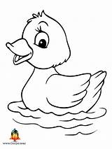 Duck Cartoon Coloring Printable Drawing Pages Kindpng sketch template