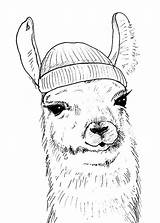 Llama Coloring Pages Printable Unicorn Rainbow Hat Wonder sketch template