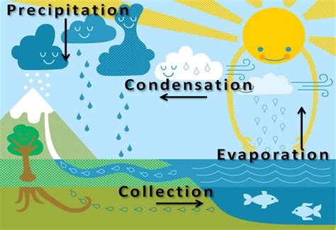 technology   water cycle