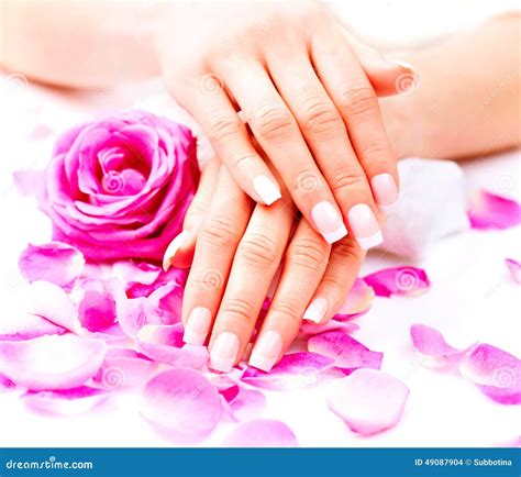 hands spa beautiful female hands stock photo image  manicure cure