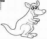 Wallaby Coloring Designlooter 250px 03kb Kangaroo Small sketch template