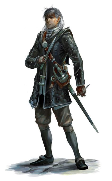 48 Best Male Elf Assassin Rogue Images On Pinterest