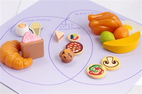 venn diagram food groups preschool nutrition activity life  cs