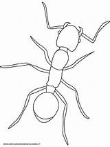 Fourmi Coloring Ants Hormigas Formica Insectos Dibujos Cigale Disegni Robaki Insect Kolorowanki Fourmis Owady Bordado Insekten Leaf Dzieci Patrones Colecciones sketch template