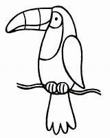 Toucan Coloring Bird Kids Pages Drawing Outline Printable Clipart Sam Sheets Sheet Digi Cliparts Cartoon Tucan Stamp Template Clip Rainforest sketch template