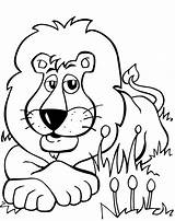 Lion 1564 June sketch template