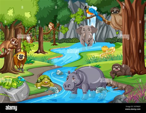 top  jungle  animals images lestwinsonlinecom