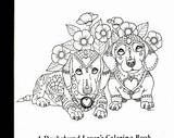 Coloring Dachshund Book Volume Pages Etsy Adult Books Dog Physical Doodle Choose Board sketch template