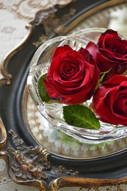 499 best images about la vida en rosas on pinterest velvet black roses and roses are red