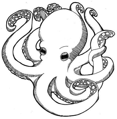 beautiful octopus colouring pages octopus coloring page animal