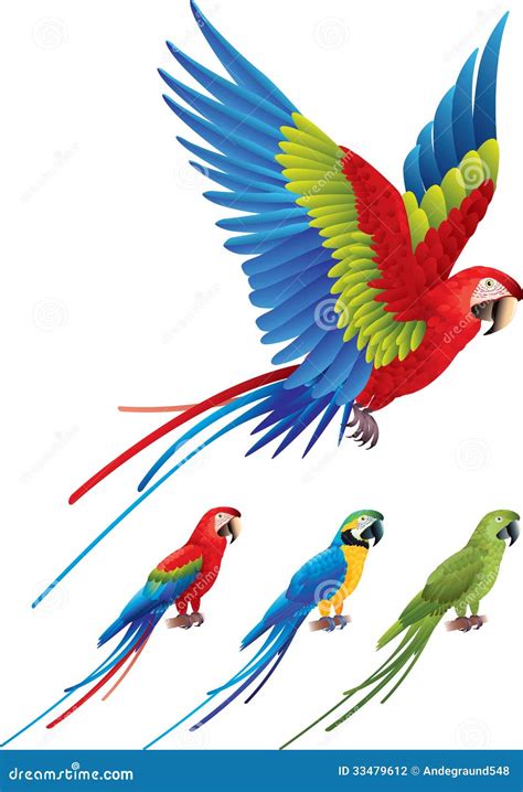 macaw parrot spread wings  tree sitting aras stock photography image