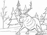 Sven Reindeer sketch template